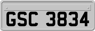 GSC3834