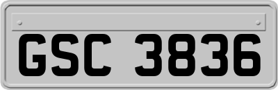 GSC3836