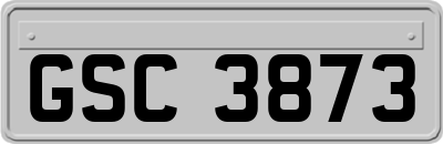 GSC3873