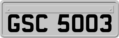 GSC5003