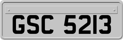 GSC5213