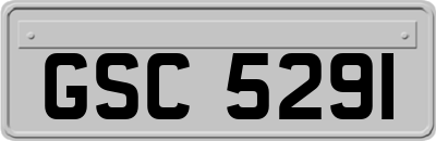 GSC5291