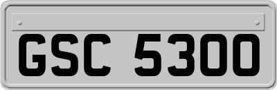 GSC5300