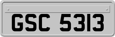 GSC5313