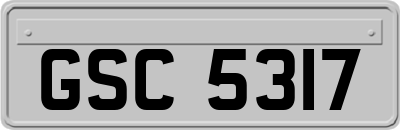 GSC5317