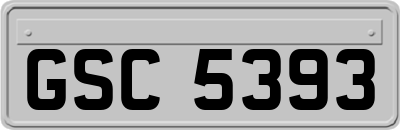 GSC5393