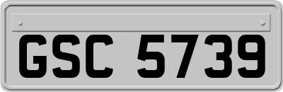GSC5739