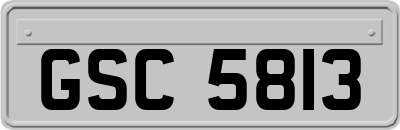 GSC5813