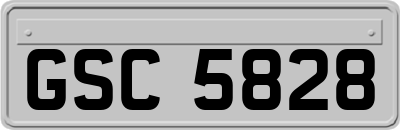 GSC5828