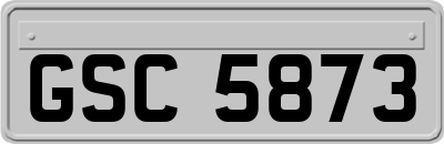 GSC5873