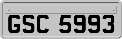 GSC5993