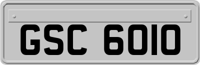 GSC6010