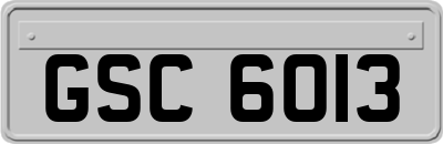 GSC6013