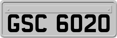 GSC6020