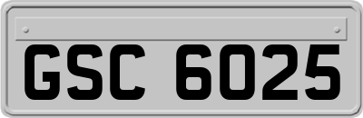 GSC6025
