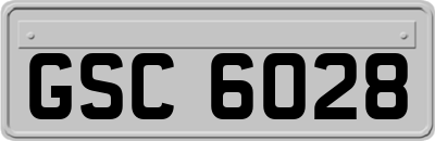GSC6028