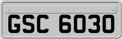 GSC6030