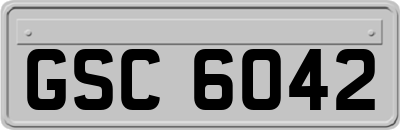 GSC6042