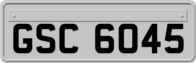 GSC6045