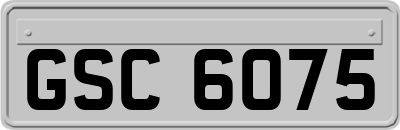 GSC6075