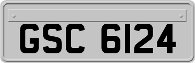 GSC6124