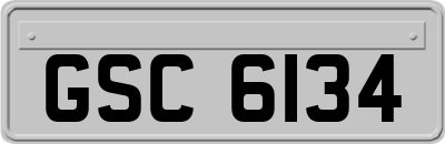 GSC6134