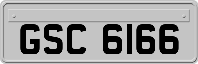 GSC6166