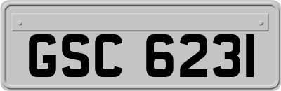 GSC6231