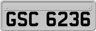 GSC6236