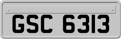 GSC6313