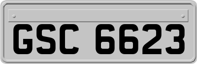 GSC6623