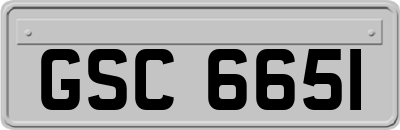 GSC6651