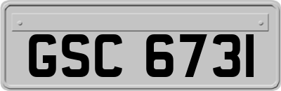 GSC6731