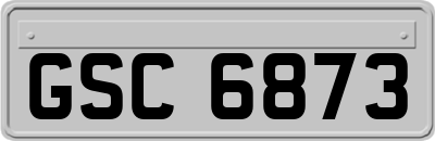 GSC6873