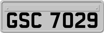 GSC7029