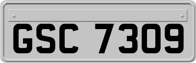GSC7309