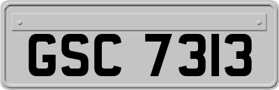 GSC7313