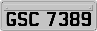 GSC7389