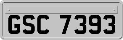 GSC7393