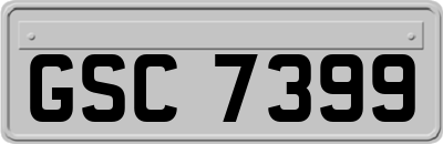 GSC7399