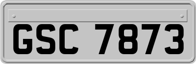 GSC7873