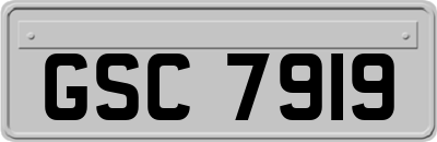 GSC7919