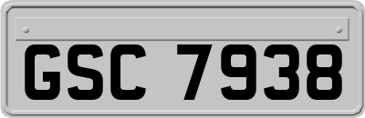 GSC7938