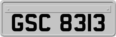 GSC8313