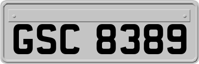 GSC8389