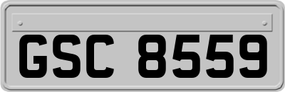 GSC8559