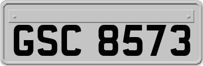 GSC8573