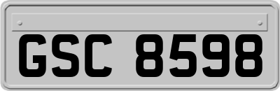GSC8598