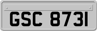 GSC8731