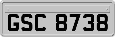 GSC8738